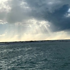 Space Song- Beach House (COVER)