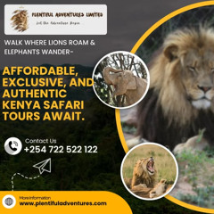 Walk Where Lions Roam & Elephants Wander — Affordable, Exclusive, and Authentic Kenya Safari Tours Await