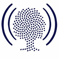 Grensoverschrijdend beslag: Nederlands beslagverlof werkt ook in andere EU-lidstaten