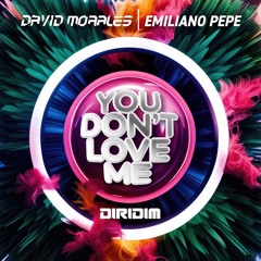 YOU DON'T LOVE ME - Original Mix