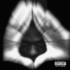 Vesic6 P (all platforms)