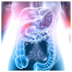 607: Scan My Secret Big Boy