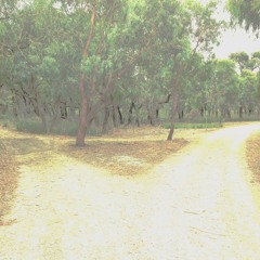 The Very Next Bend
