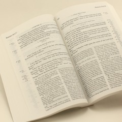 And_We_Have_The_Prophetic_Word.-2 Peter 1:19 🌹🎻🎶 La Palabra Profética Tenemos..-2 de Pedro 1:19 🌹🎻🎶