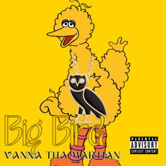 Big Bird.m4a