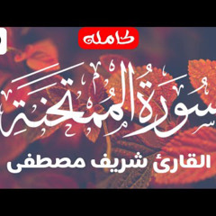 ‎⁨سورة الممتحنة🍂_ تلاوة راقية في غاية الجمال للقارئ شريف مصطفى 🎧❤️_ Surah-AlMumtahanah⁩.