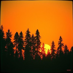 Burning Skies