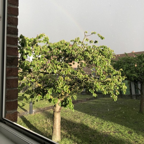 Heavy Rain and Thunder 1