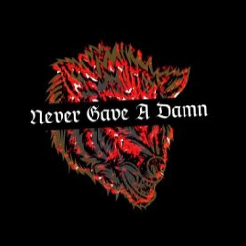 Never Gave a Damn - leon's wolf