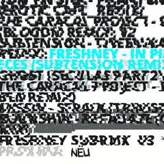 Freshney - In Pieces (Subtension remix) [NËU]
