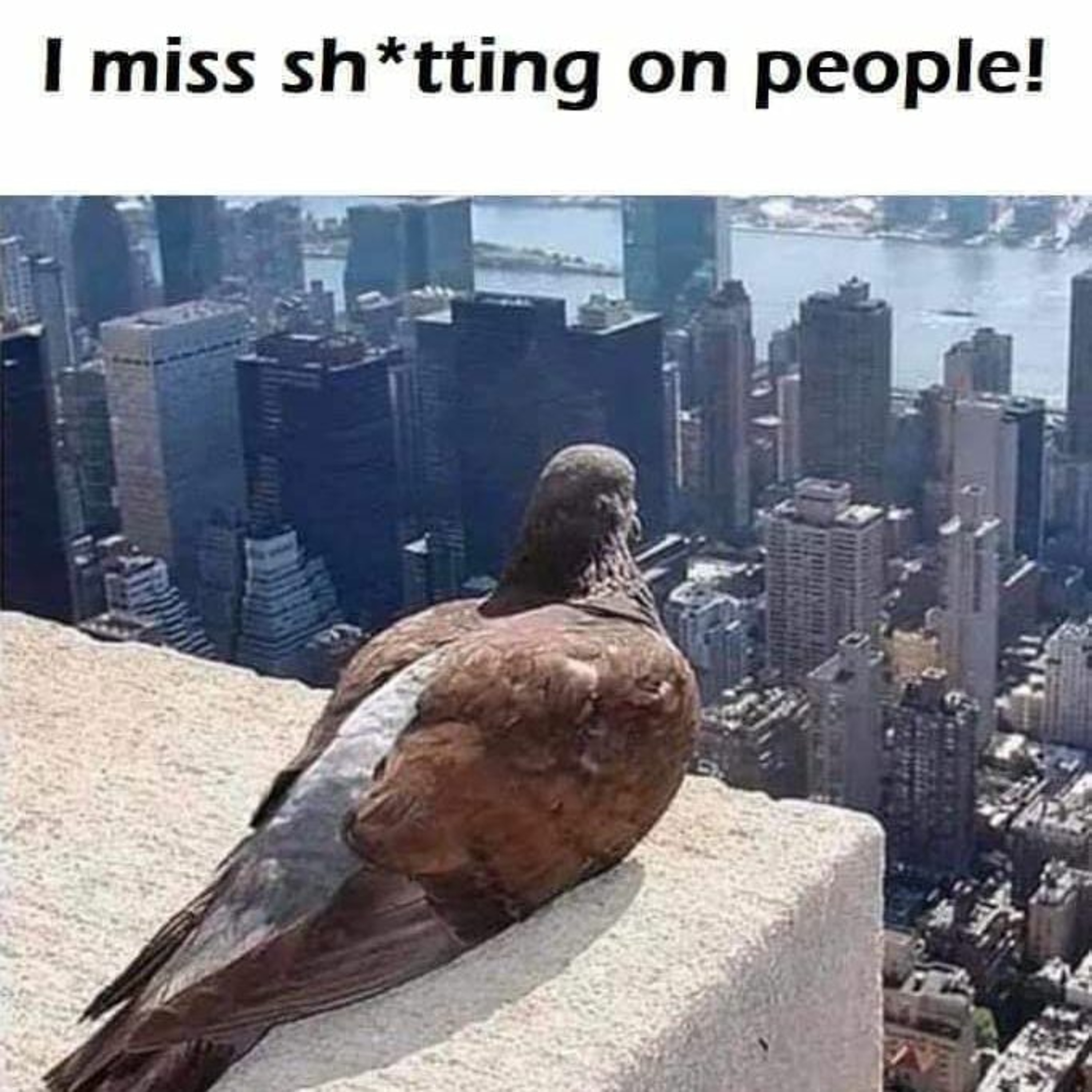 hisTory