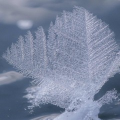 The frozen Lake sings20260105LakeAkan.wav