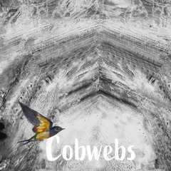 Cobwebs