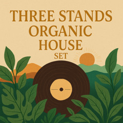 ORGANIC HOUSE SET THREE STANDS