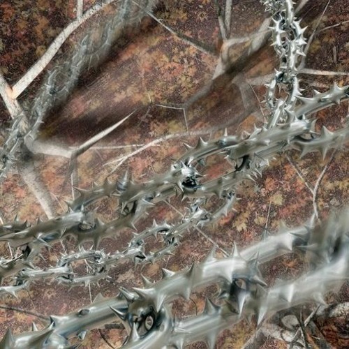 Nastee Boi - Nastee`s Fear 3