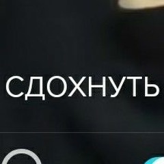 ПОЛМАТЕРИ-Тотали Спайс