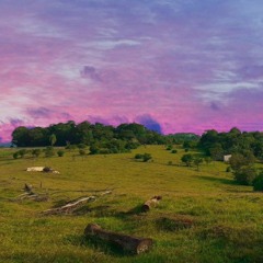 FREE Trap Type Beat | "Rose" | Prod. Skylanee