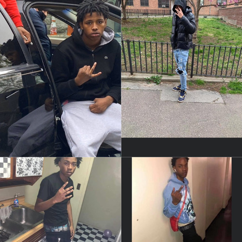 Sha Gz x Des x Jb x Savo-Flex