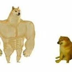 Swole Doge & Cheems Song by Day by dave