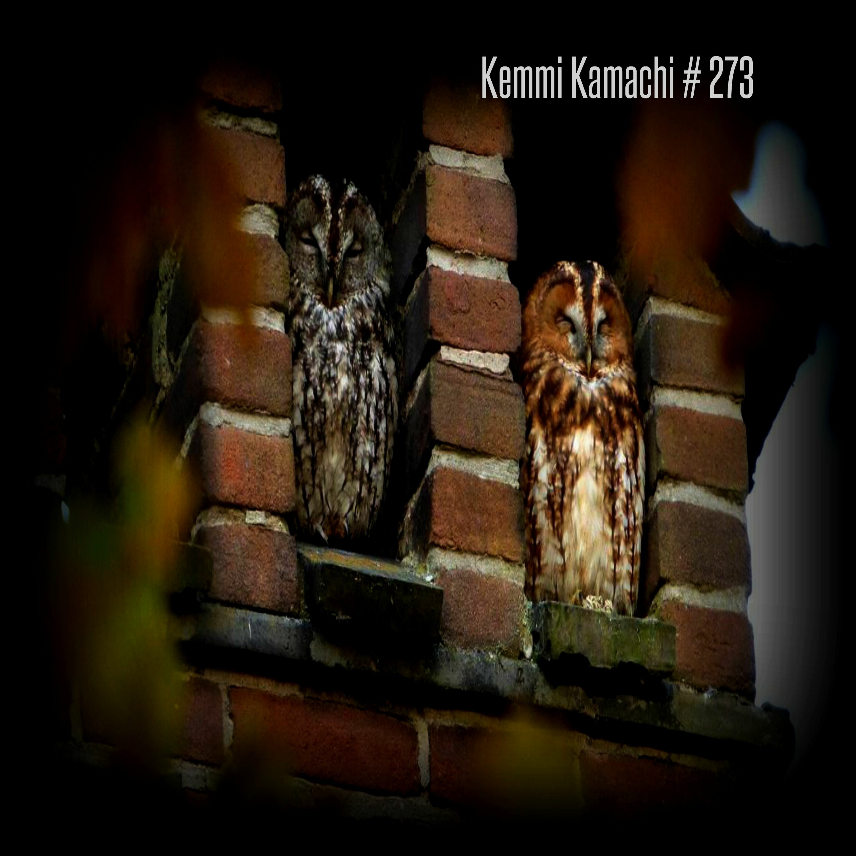 Kemmi Kamachi