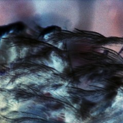 Sorrow