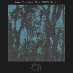 BAW - Vivant Mais Mort (PROJEKT Remix)