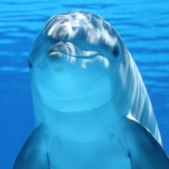 Messenger's Message 01