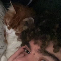 wanna know Ft japones