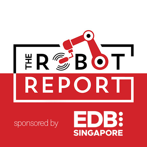 The State of Humanoids: Where is the market headed?
