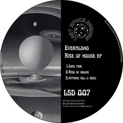 PREMIERE: Everaldho - Rise of House [Lost Space Dreams]