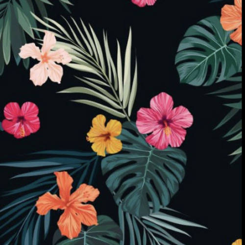 𝐓𝐚𝐦𝐩𝐚 𝐂𝐮𝐫𝐡𝐚𝐭 𝐁𝐞𝐚𝐭 & 𝐊𝐚𝐫𝐥 𝐖𝐢𝐧𝐞 - 𝐁𝐚𝐢𝐥𝐚 𝐅𝐭. 𝐓𝐫𝐢𝐛𝐚𝐥 𝐊𝐮𝐬𝐡