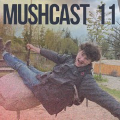 MUSHCAST 11 Acid ALF