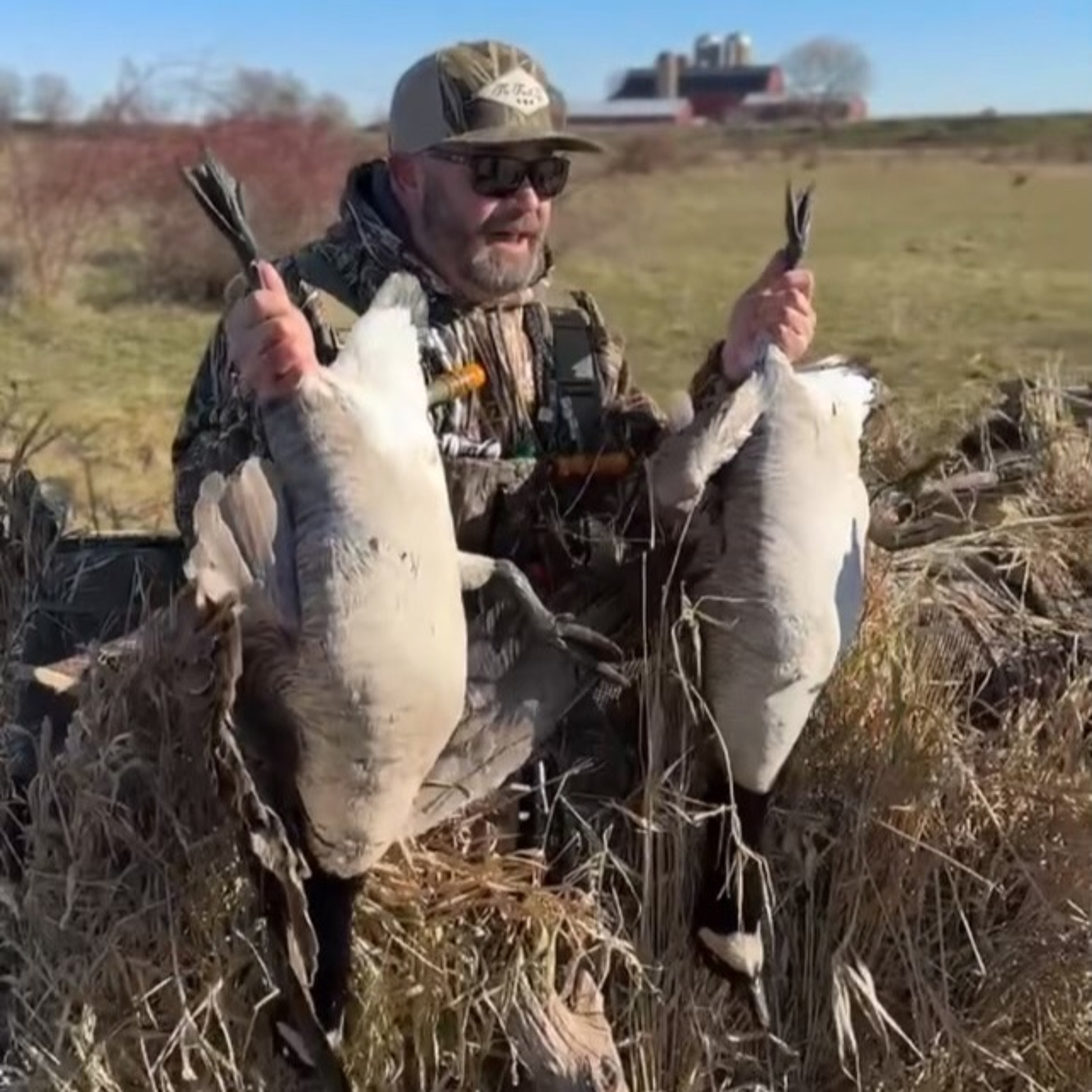 The Fowl Life