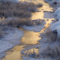 frozen creek