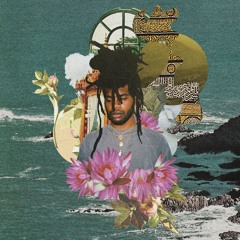 Lotus Fields ft. Chester Watson