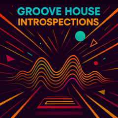GROOVE HOUSE INSTROSPECTIONS 2