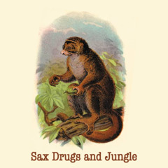 Sax Drugs and Jungle