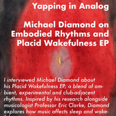 YIA Ep 2: Michael Diamond on Wakefulness in Dance Music, Embodied Rhythms and New EP