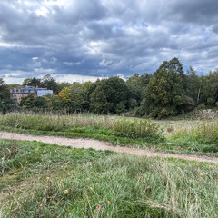 Hampstead Heath looking towards Harrow - 27th September 2025 (excerpt)