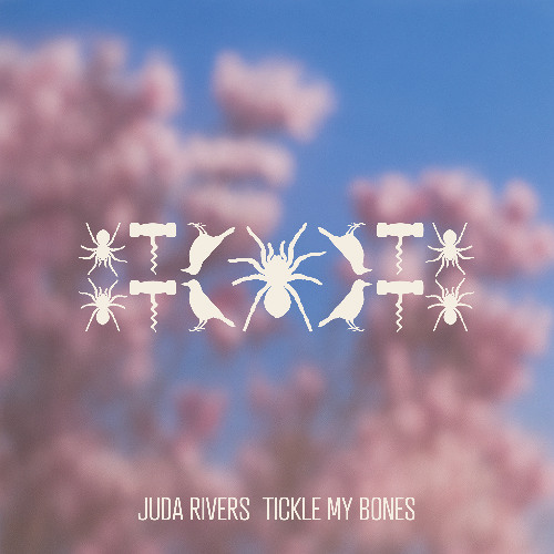 Tickle My Bones