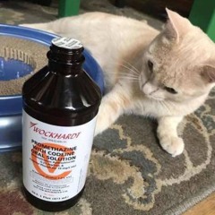 BIRTHDAY MIX @saintracks @NOTIPLUG @sk8kash