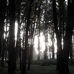 majbyhisself - ARP . LLMALACHI