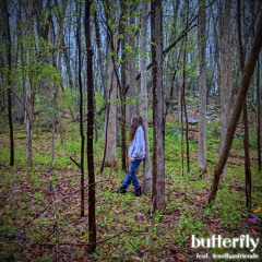 butterfly [ft. lessthanfriends]
