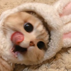 im in my room listening to 182