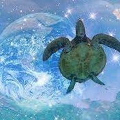 Brian - Turtle Motion