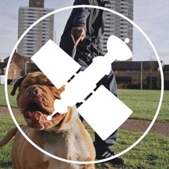 Capo Lee - Liff (Satellite Edit)
