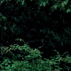 Blk Doggy - Winning (Prod. By Blk Doggy)