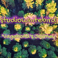 Vagabonds Journey