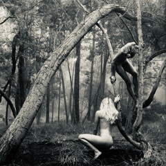 Diereva - Un Giardino (Andara White Trees Vocal Edit)