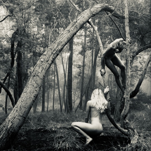 Diereva - Un Giardino (Andara White Trees Vocal Edit)